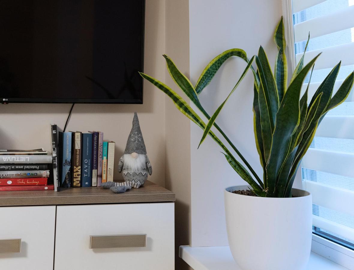 Sodu Apartment カウナス エクステリア 写真